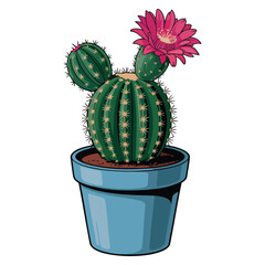 Flower pot with cacti vector illustration isolated tropical exotic plant in ceramic vase ideal for gardening botany horticulture website and cartoon flat design elements