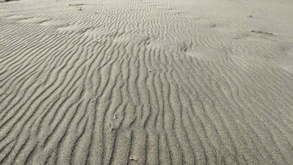 Wideangle View of Sandy Plain Featuring Ripples Footprints and Distant Vegetation