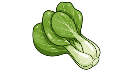 A vibrant vector illustration of a fresh, healthy Bok Choy vegetable, presented on a clean white background, perfect for culinary and dietary content, showcasing its natural green color.