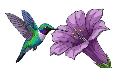 Obraz premium hummingbird gracefully approaches a purple flower, showcasing nature's beauty and pollination.