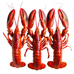 Three cooked lobsters, red shells and claws, arranged side by side against a black background