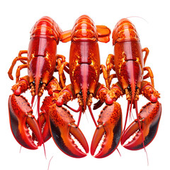 Three cooked red lobsters arranged symmetrically against a black background