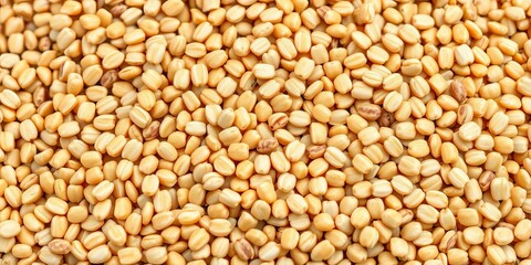 Fototapeta premium Close-up of raw buckwheat groats, showing texture and color, food photography, healthy eating
