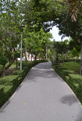 Fototapeta premium empty road in the city