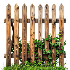 Wooden picket fence with vines growing through it and lush green grass in front