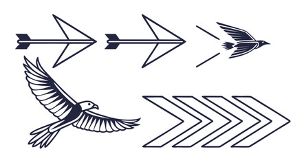 Illustrations depicting the progression of an eagle from concept to flight, symbolizing growth and direction