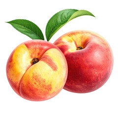 Two ripe, fuzzy peaches with vibrant red-yellow skin, green leaves. One partially cut