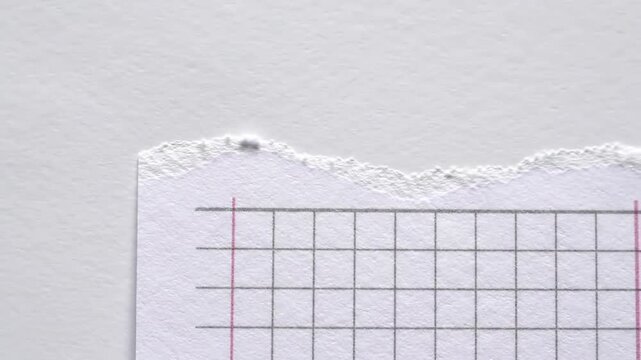 Torn graph paper with ragged edge