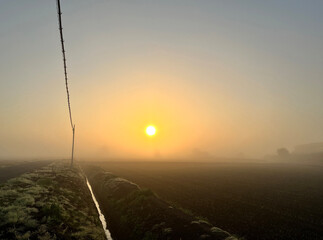 霧の朝焼け。Misty dawn.