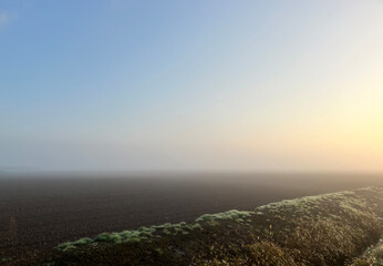 霧の朝焼け。Misty dawn.