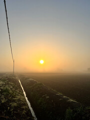 霧の朝焼け。Misty dawn.