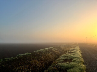 霧の朝焼け。Misty dawn.