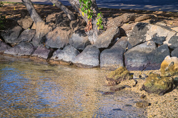 Background of Rocks and Sand at Honolulu Lagoon.
