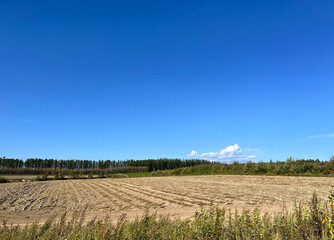 初秋の丘陵, Early Autumn Hills,
