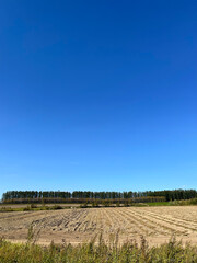 初秋の丘陵, Early Autumn Hills,