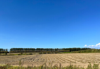初秋の丘陵, Early Autumn Hills,