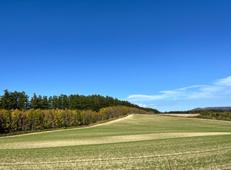 初秋の丘陵, Early Autumn Hills,