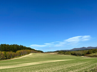 初秋の丘陵, Early Autumn Hills,