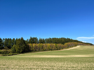 初秋の丘陵, Early Autumn Hills,