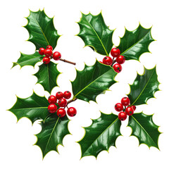 Lush green holly leaves with red berries arranged against a black background