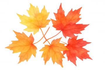 Obraz premium Watercolor maple leaves in warm orange-red and yellow hues, representing the autumn fall season with a transparent background
