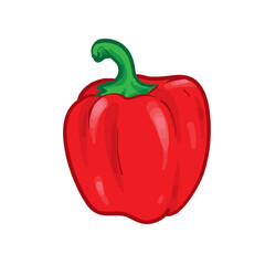 Red Pepper Hand Drawing Vector Illustration