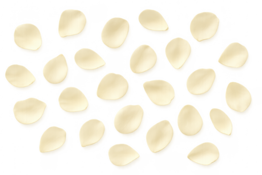 White petals falling delicate scattering on transparent background