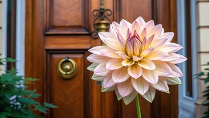 A beautifully detailed flower stands in front of a wooden door, showcasing vibrant colors and intricate patterns.
