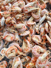 dry shrimps at the street food