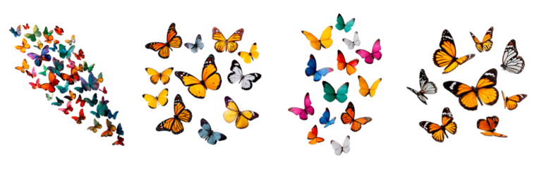 Vibrant multicolored butterflies in flight on transparent background