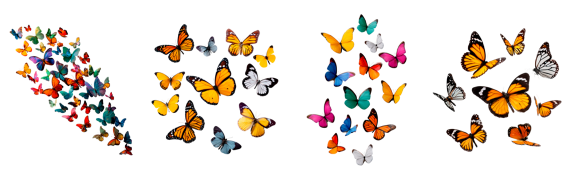 Vibrant multicolored butterflies in flight on transparent background