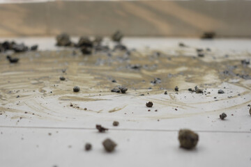 Dust and debris on a wooden floor surface after cleanup