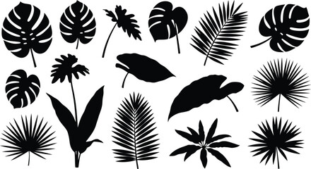 Diverse collection of tropical plant and leaf silhouettes for design