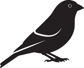 House Finch  Silhouette