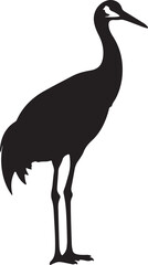 Obraz premium Sandhill crane