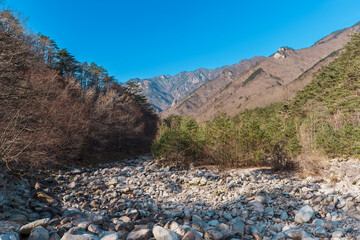 Rocky Riverbed and Pine Forest at Seoraksan National Park, South Korea