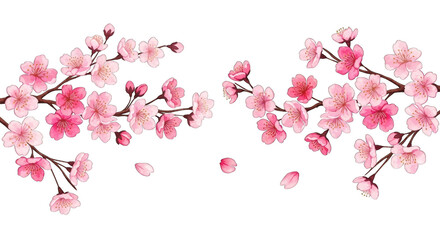 blooming cherry blossom branches with pink flowers and falling petals.