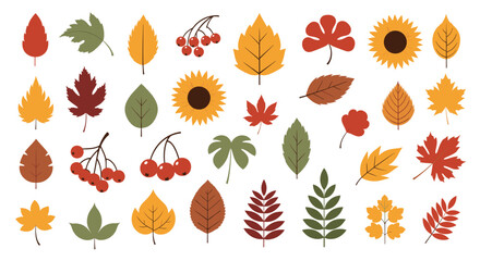 Obraz premium A collection of colorful autumn leaves and berries in various shapes and sizes.