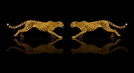Mirror image of two cheetahs in hunting posture with reflection on black background