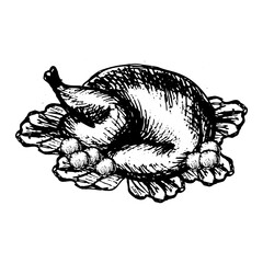 Thanksgiving roasted turkey sketch. Turkey hand drawn illustration isolated. Vector holiday food sketch for cards, menu and packaging design.