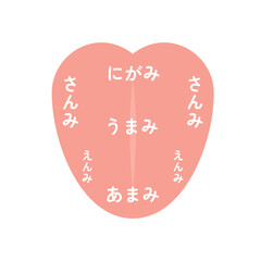 味覚を表した舌