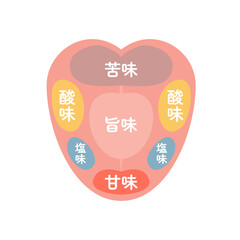 味覚を表す舌の表