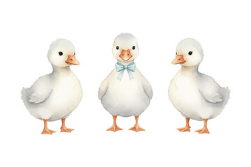 soft pastel charming watercolor geese illustration