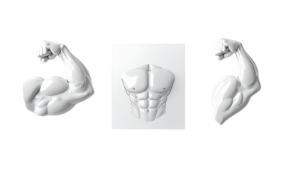 Fitness muscle arm flex illustration isolated on transparent background