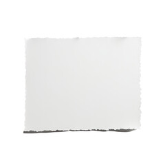 Obraz premium Torn paper piece on black. Clean and simple