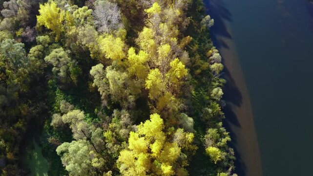 An aerial drone shot captures the vibrant colors of autumn along the Agidel River in the South Ural region of Russia. The footage shows a dense forest with trees displaying brilliant yellow and green 