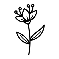 Detailed Line Art of a Black and White Flower with Stem and Leaves Isolated on a Transparent Background for Graphic Design Projects