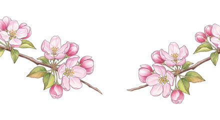 Blooming apple tree branches with pink flowers and buds.