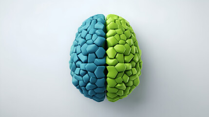 A geometric brain model shows hemispheres in distinct blue and green colors.
