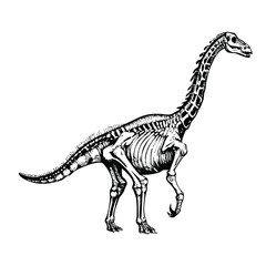 Highly Detailed Anatomical Illustration of a Brachiosaurus © revpy